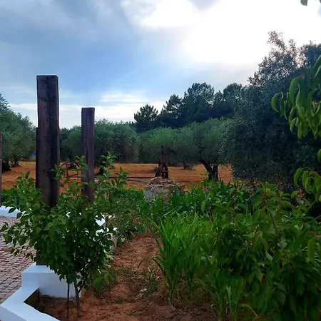 Quinta Lameira Do Vale Fundao Exterior photo