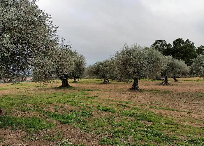 Quinta Lameira Do Vale