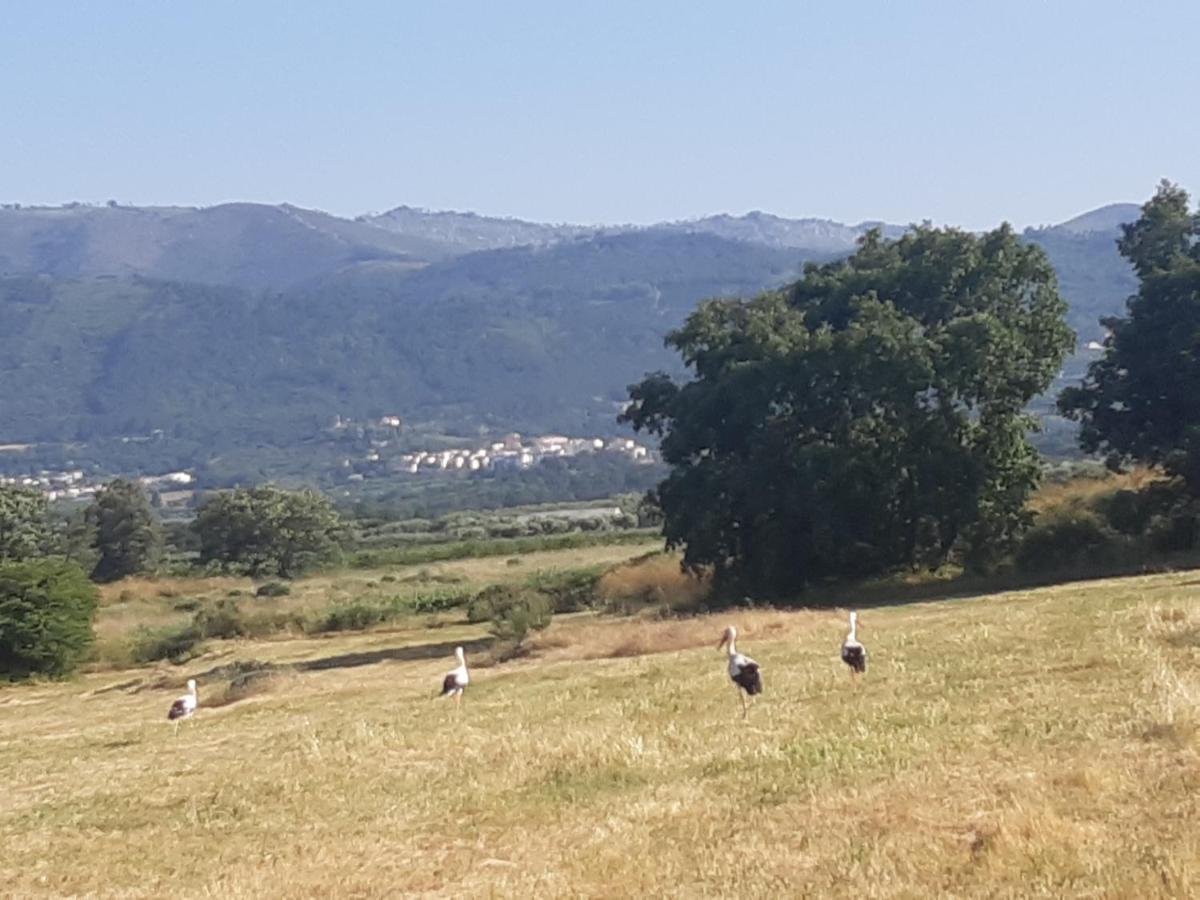 Quinta Lameira Do Vale