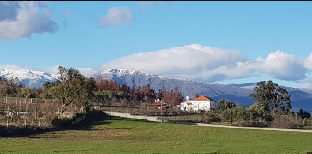 Holiday home Quinta Lameira Do Vale *